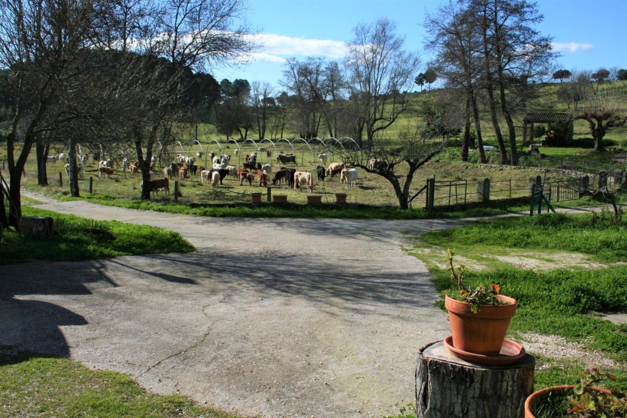 Casa Rural - Complejo El Tejar De Las Canadas Candeleda Exteriér fotografie
